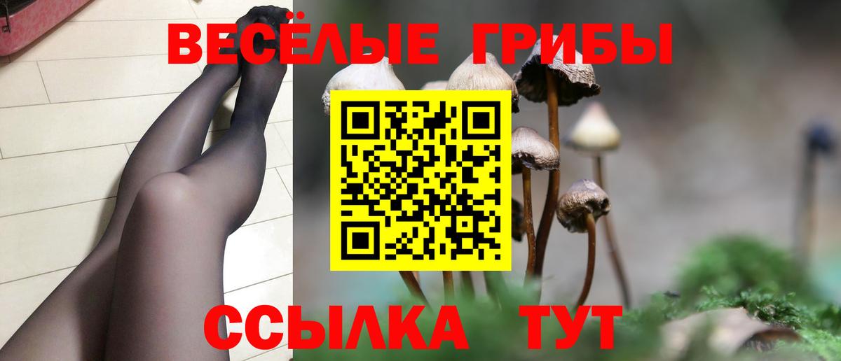 Новочебоксарск  Псилоцибиновые грибы Psilocybine cubensis  Псилоцибиновые грибы мухоморы  купить наркотики сайты  Вход с VPN 